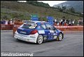 11 Peugeot 207 S2000 T.Riolo - M.Marin (7)